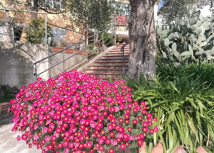 B&B Bellavista